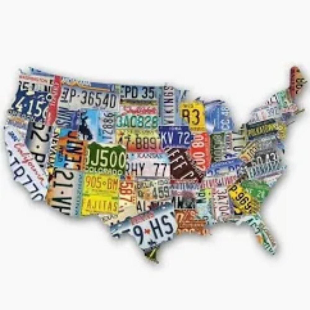 TDC Games 1000-Piece USA Map-Shaped License Plate Jigsaw Puzzle